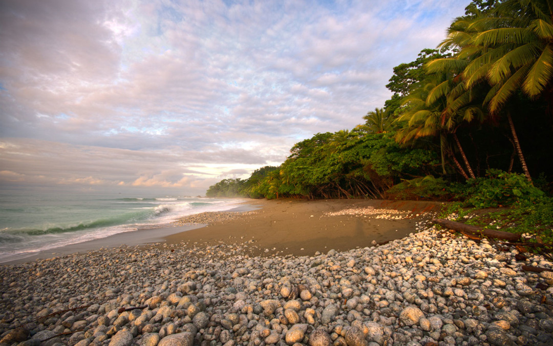 Corcovado: The Most Biologically Intense Place on Earth (Per Square Meter)