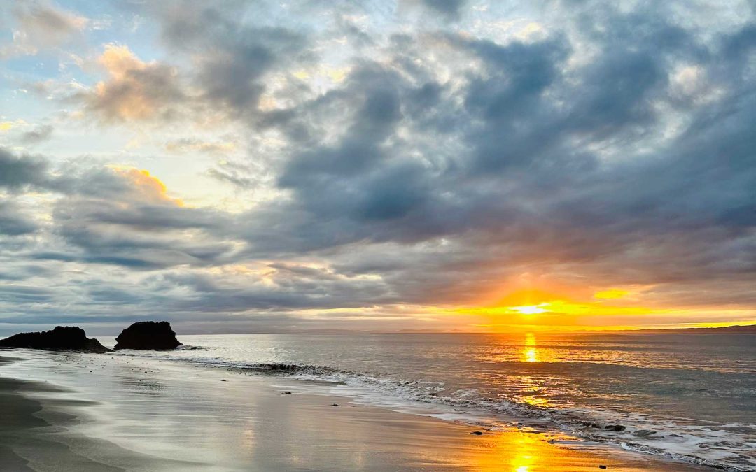 4 Must-Visit Places Cabo Matapalo/ Osa peninsula