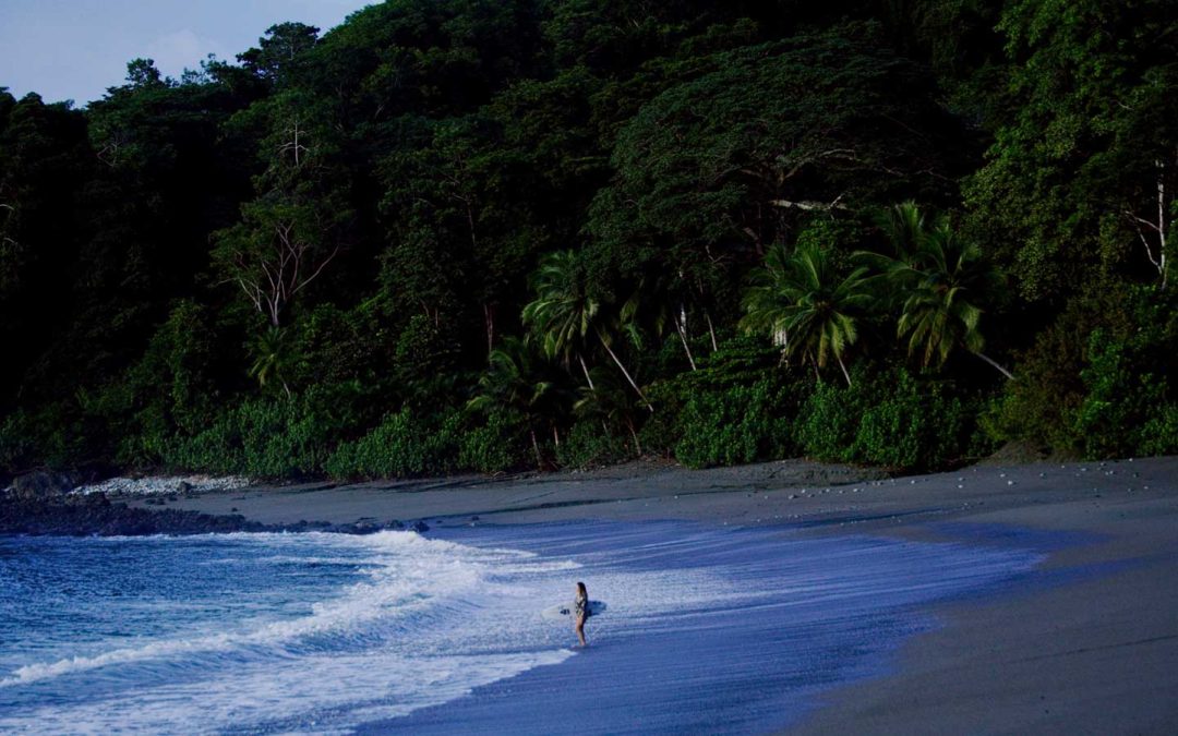 Discover Costa Rica’s Osa Peninsula: A Jungle Paradise Awaits